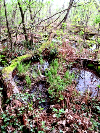 Am Kalksee