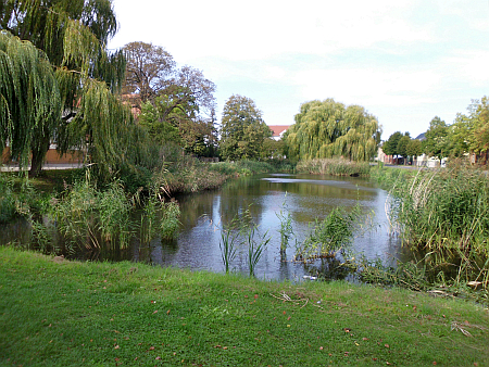 Dorfteich in Blumberg