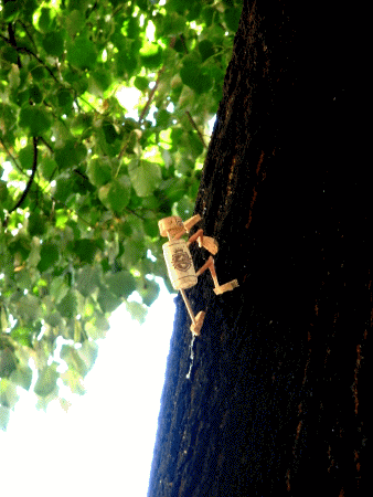 Treeclimber 1