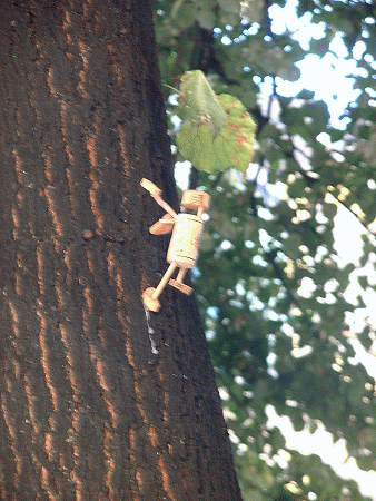 Treeclimber 2