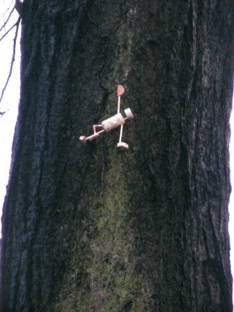 Baum-Yogi: Vasisthasana II