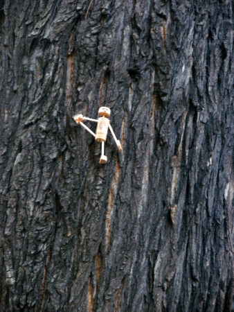 Hasta Padangusthasana II