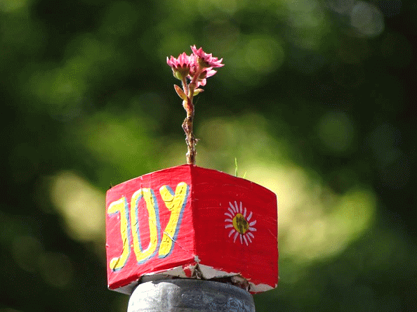 Joy-Gardening