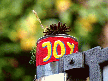 JoY-Garten