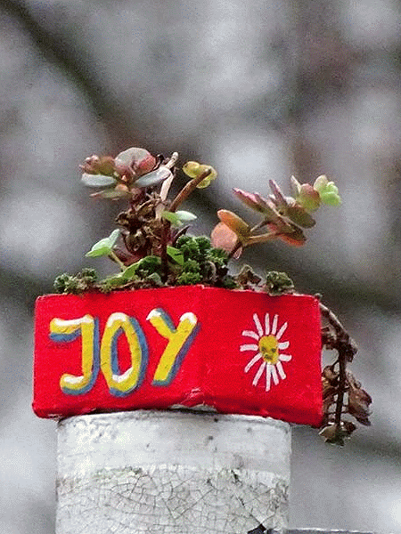 JoY-Garten
