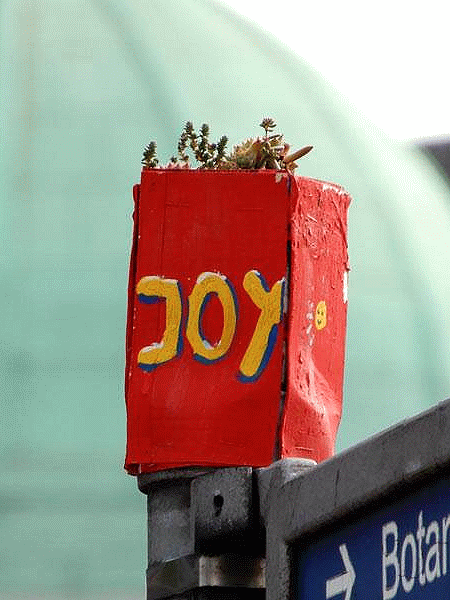 JoY-Garden