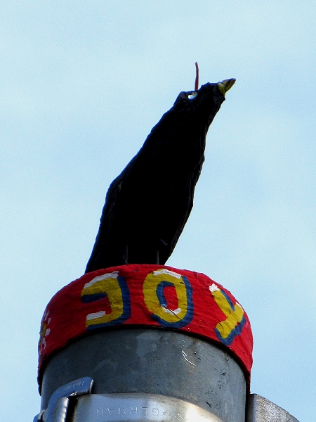 Ein schräger Vogel