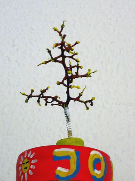 Vom Maibaum zum Wimmelbaum