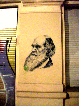 Street-Art: Charls Darwin
