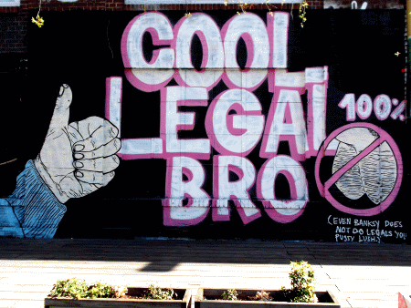 Cool Legal Bro