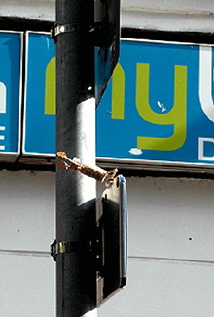 Street-Yogi: Limbatnzer