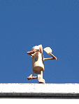 Street-Yoga: Vrksasana Variation