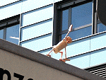 Street-Yoga: Parsvakonasana