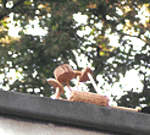 Street-Yoga: Anantasana