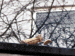 Street-Yoga: Upavistha Konasana