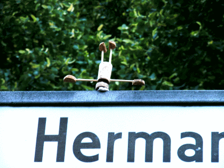 Street-Yogi: Sirsasana (Variation)