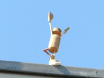 Street-Yogi: Vrksasana