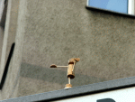Street-Yogi: Hasta Padangusthasana II