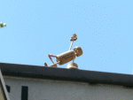 Street-Yogi: Vasisthasana II