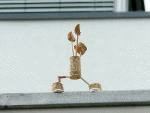 Street-Yogi: Virabhadrasana I