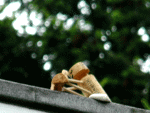 Street-Yogi: Paschimottanasana