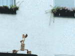 Virabhadrasana I