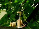 Parsvaika Pada Sarvangasana