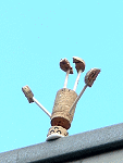 Sirsasana VI