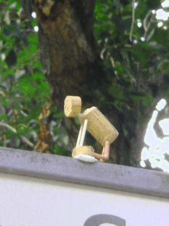 Ustrasana