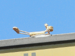 Makarasana