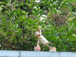 Parsvakonasana