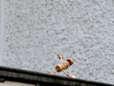 Trikonasana