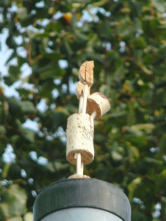 Hastasana