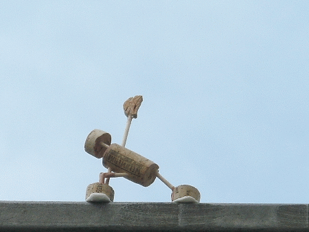 Parsvakonasana (Variation)