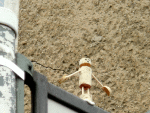 Tadasana