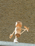 Hasta Padangusthasana I