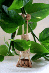 Sirsasana
