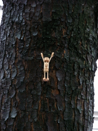 Baum-Yogi: Hastasana