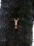 Hastasana