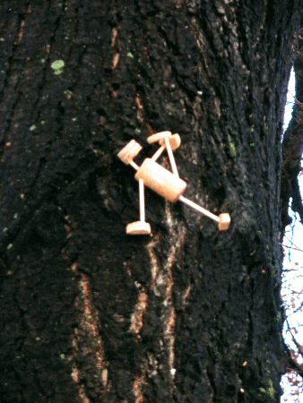 Baum-Yogi: Vasisthasana III