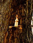 Virabhadrasana I