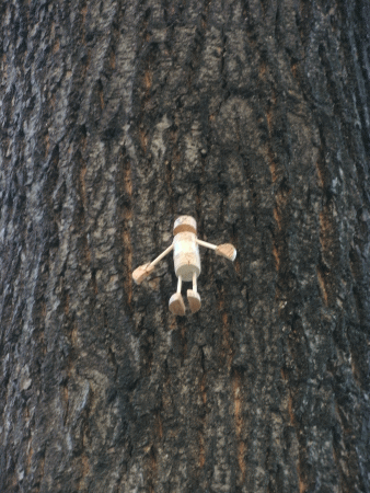Baum-Yogi: Tadasana