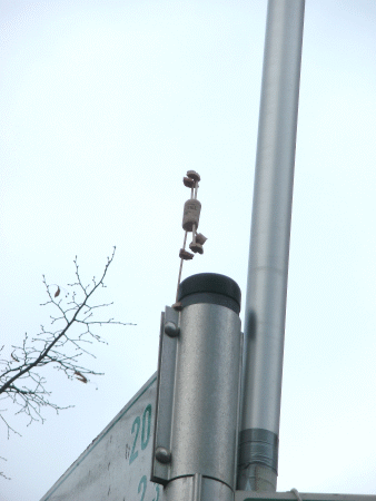 Adho Mukha Vrksasana