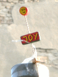 Joy
