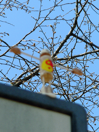 Jing-Jang-Yogi: Tadasana (Variation)