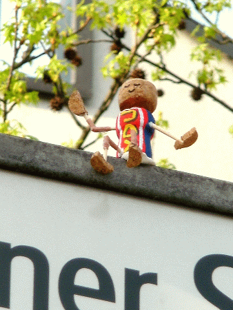 Joy-Yogi: Hallo