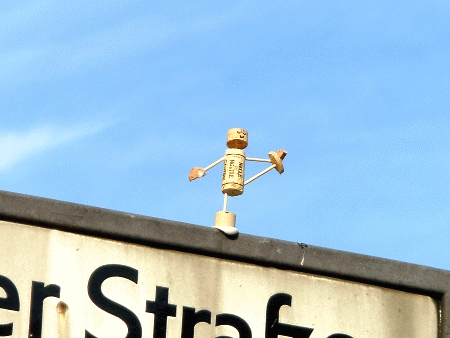 Hasta Padangusthasana II