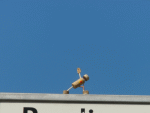 Herz-Yogi: Parsvakonasana