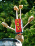 Joy-Yogi: Sirsasana IV