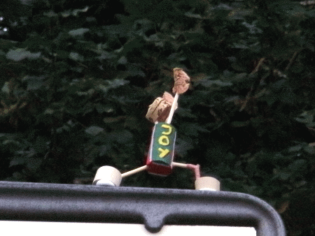 Joy-Yogi: Virabhadrasana I